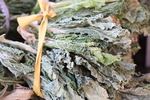 干白菜
