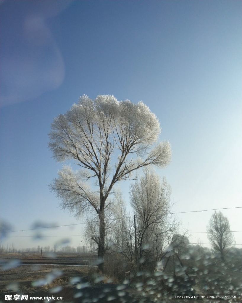 雪后