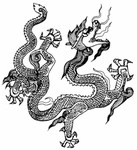 龙