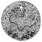 龙