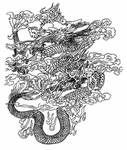 龙