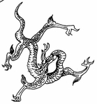 龙