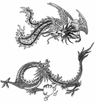 龙