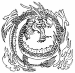 龙