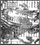 龙