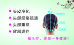发草堂反面