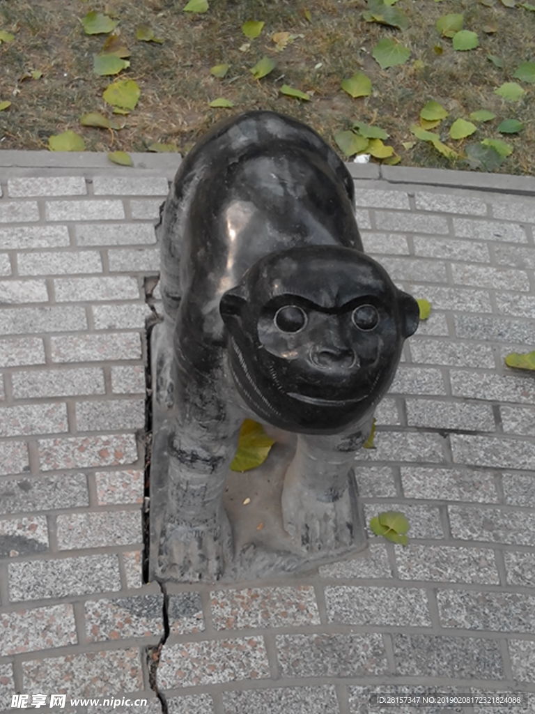 十二生肖—申猴