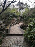 蠡园