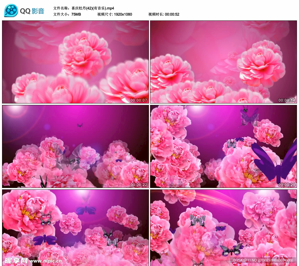喜庆牡丹花朵绽放 舞台背景视频