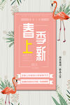 春季上新