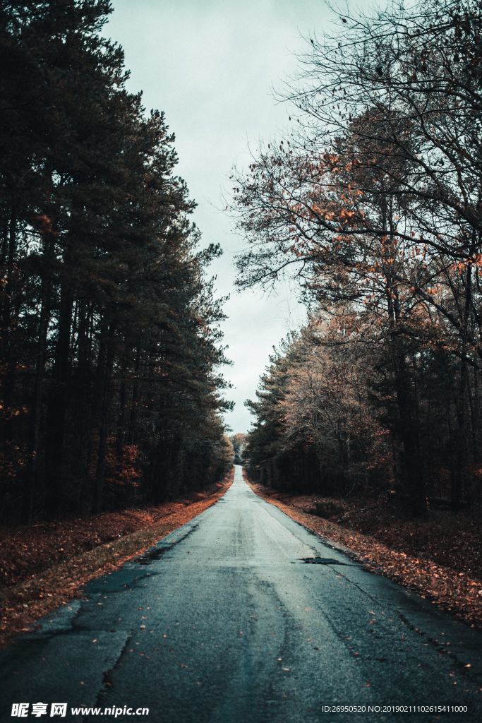 路