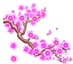 梅花