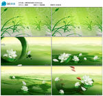 水墨茉莉花油纸伞 舞台背景视频