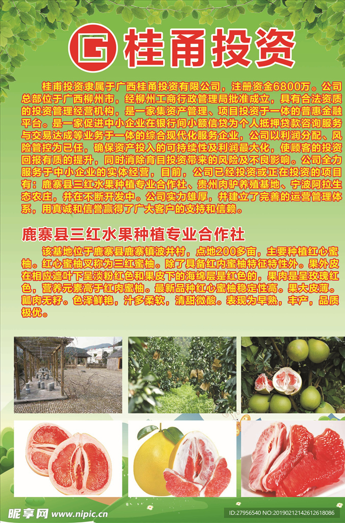 投资公司宣传单