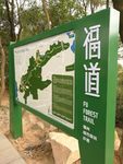 福建 福州 福道 空中步道 钢