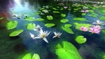 lumion睡莲jpg
