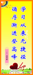 学校展板