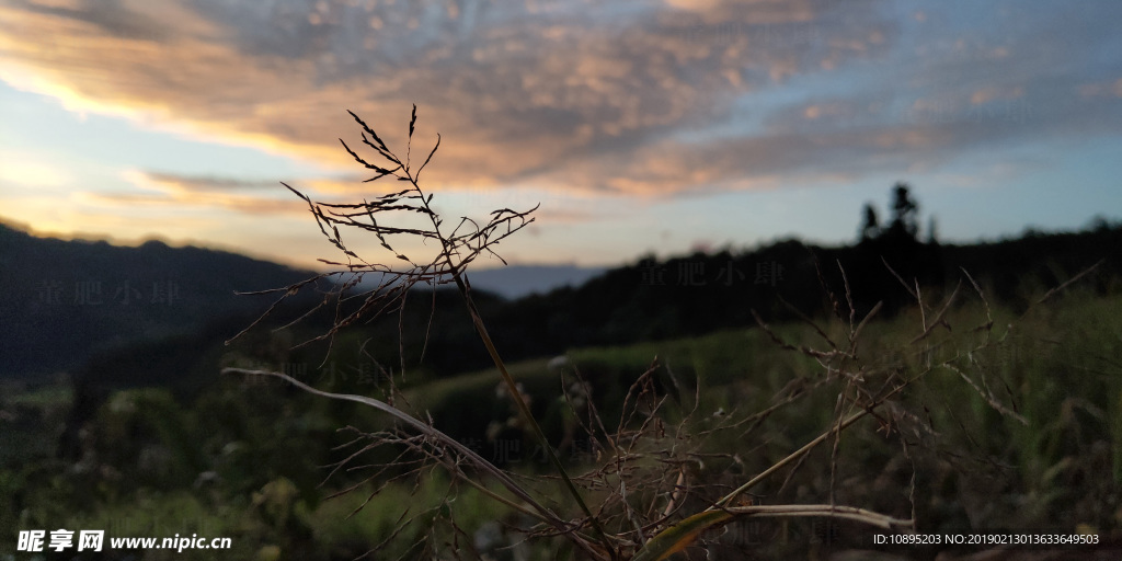 南山