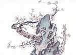 梅花国画