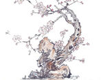 梅花国画