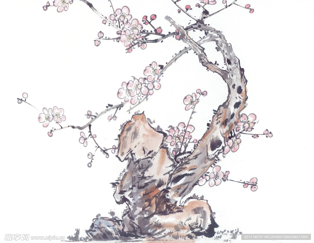 梅花国画