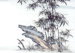 竹