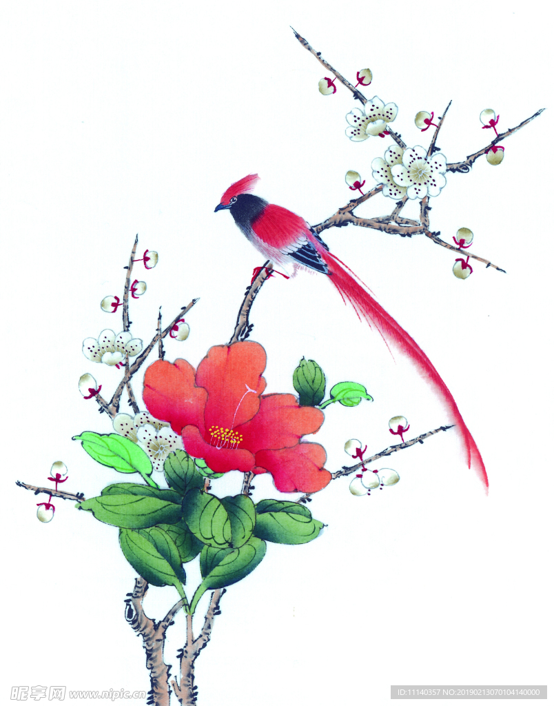 花鸟国画