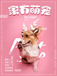 宠物店