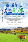 驰骋草原旅游海报