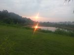 清晨