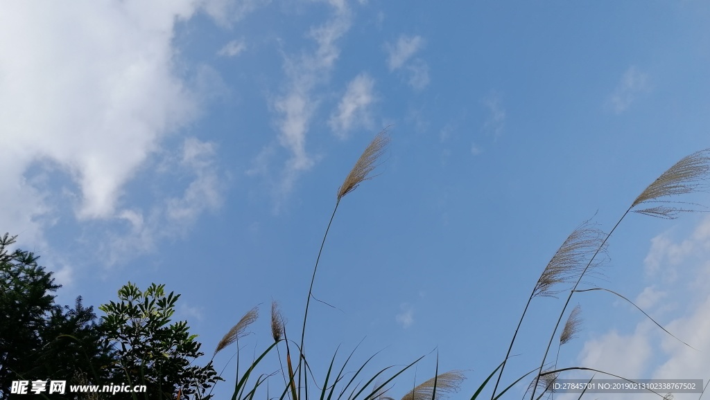 自然风景