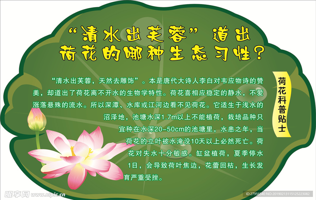 荷花科普知识标识
