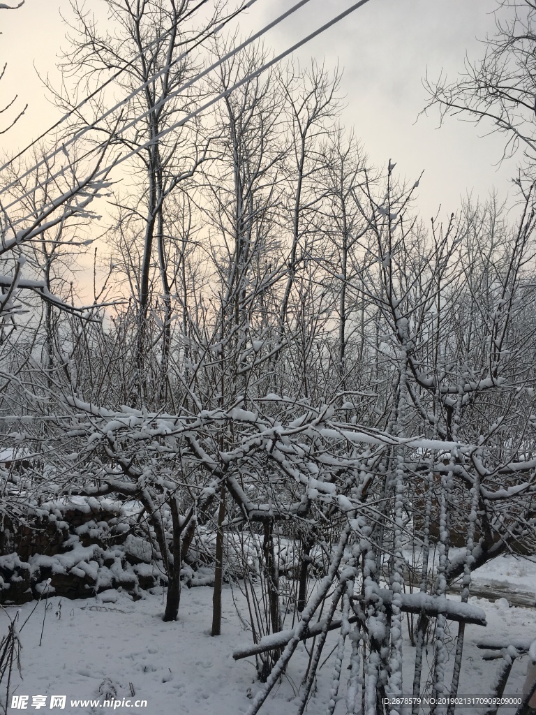 雪景 大雪  雪  自然风景