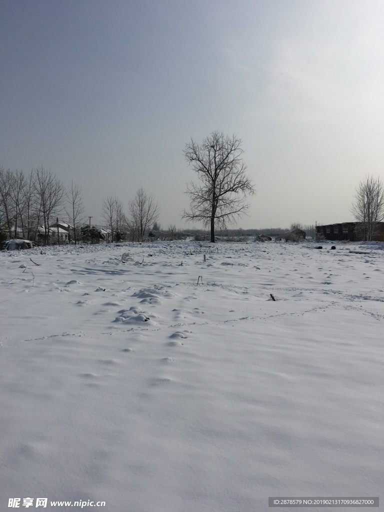 雪景 大雪  雪  自然风景
