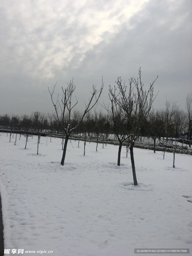 雪景 大雪  雪  自然风景