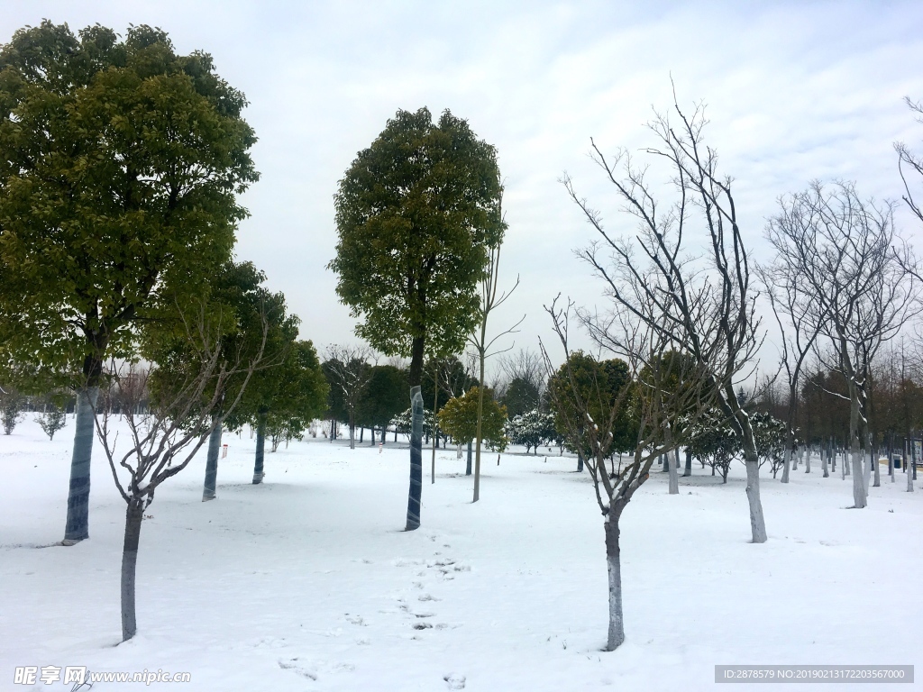 雪景 大雪  雪  自然风景