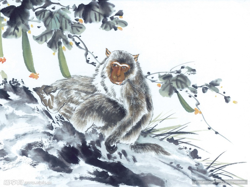 十二生肖  猴  国画  白描