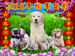 狗年 春节 喜庆 灯笼 鲜花