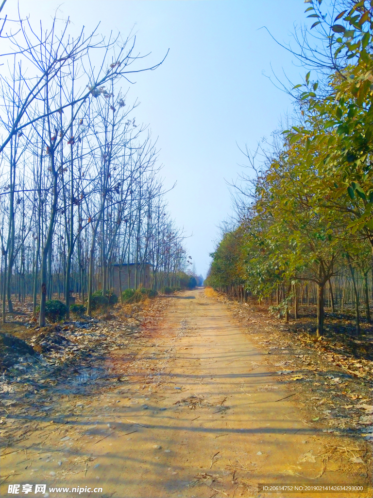 美丽的乡村风景