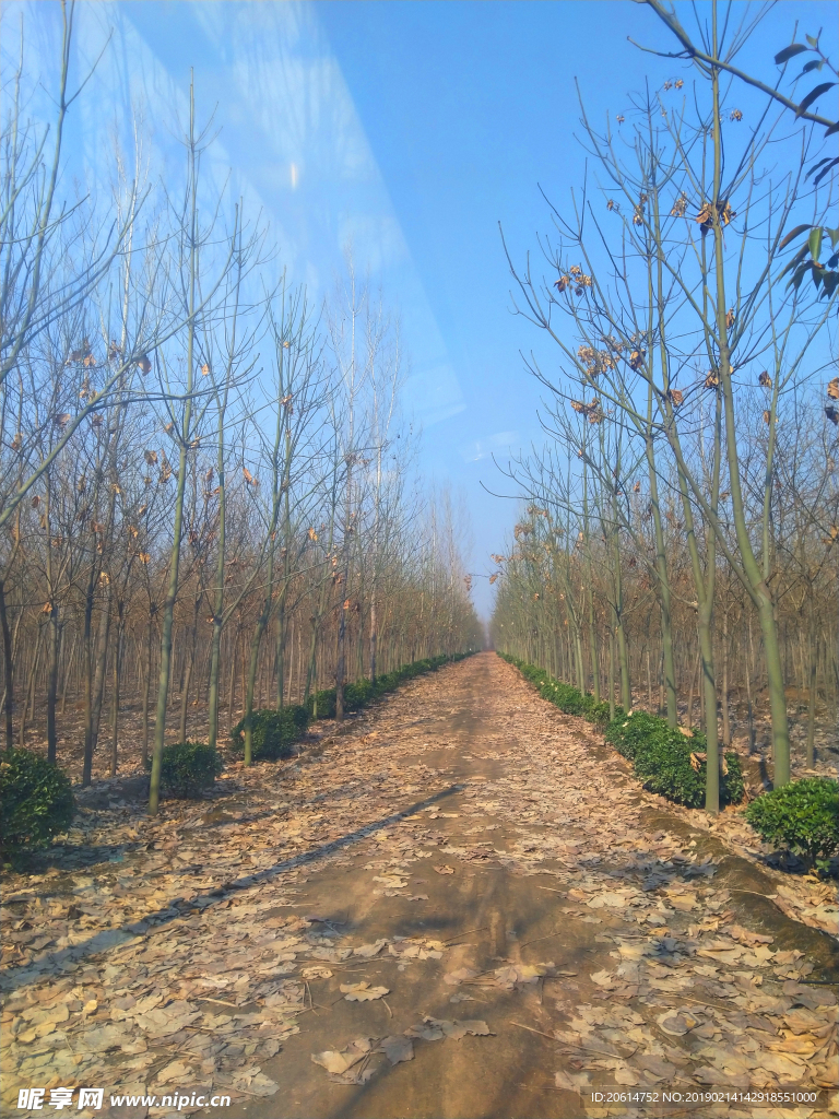 美丽的乡村风景