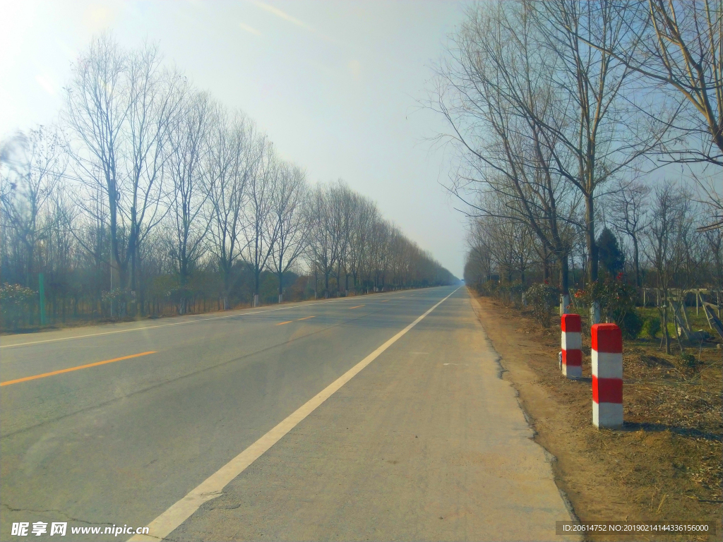 乡村道路风景
