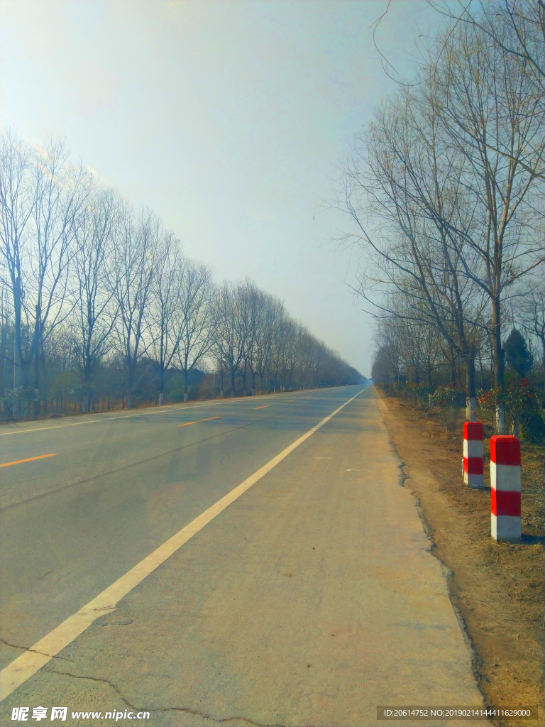 乡村道路风景
