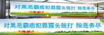 扫黑除恶