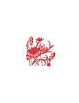 荷花素材