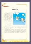 鸟类飞行之谜
