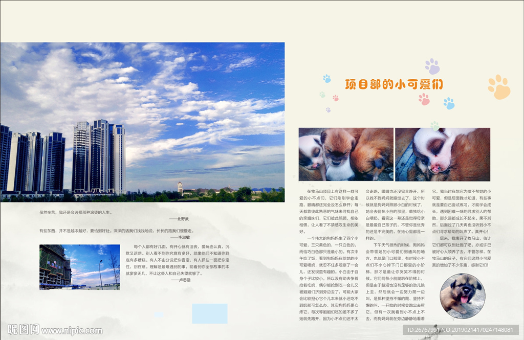 项目部小可爱