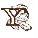 矢量英文字母