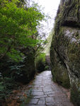 武夷山 山路