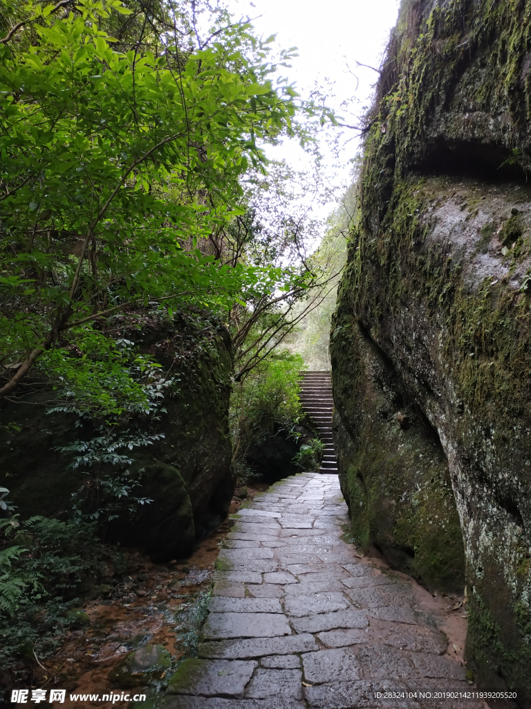 武夷山 山路