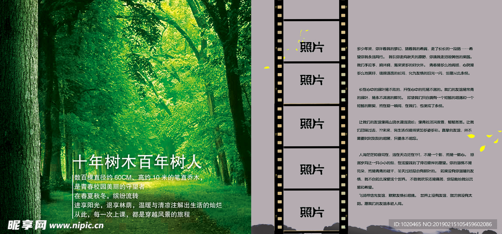 同学录内页
